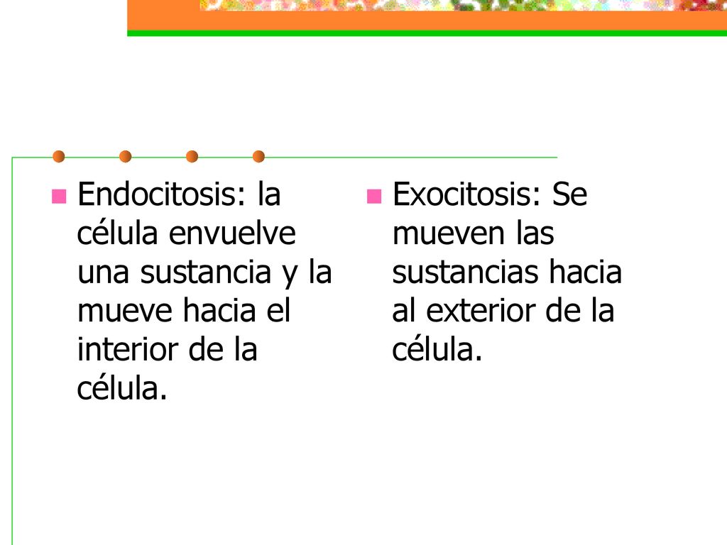 Endocitosis: la célula envuelve una sustancia y la mueve hacia el interior de la célula.