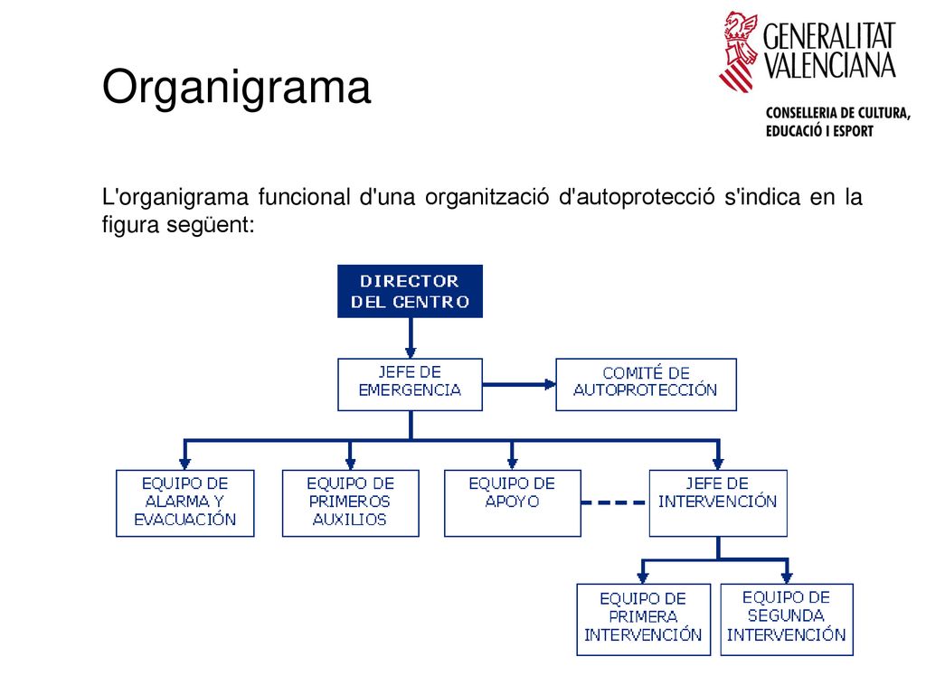 Organigrama L organigrama funcional d una organització d autoprotecció s indica en la figura següent: