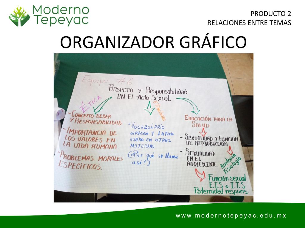 PRODUCTO 2 RELACIONES ENTRE TEMAS ORGANIZADOR GRÁFICO