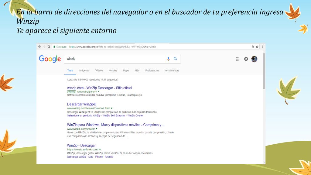 En la barra de direcciones del navegador o en el buscador de tu preferencia ingresa Winzip