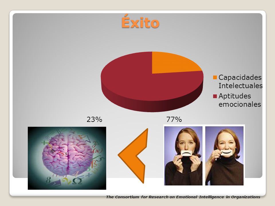 Éxito 23% 77% The Consortium for Research on Emotional Intelligence in Organizations