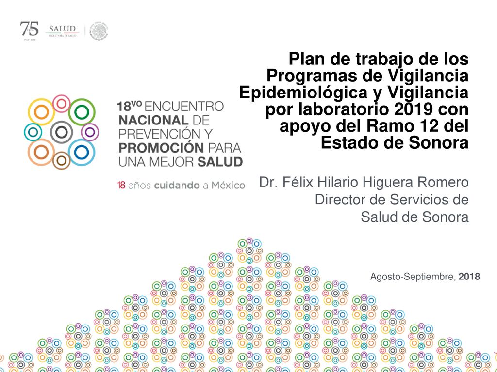 Plan de trabajo de los Programas de Vigilancia Epidemiológica y Vigilancia por laboratorio 2019 con apoyo del Ramo 12 del Estado de Sonora