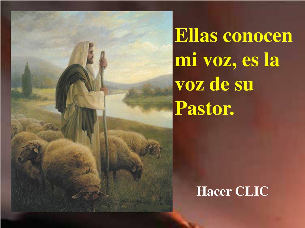 Ellas conocen mi voz, es la voz de su Pastor.