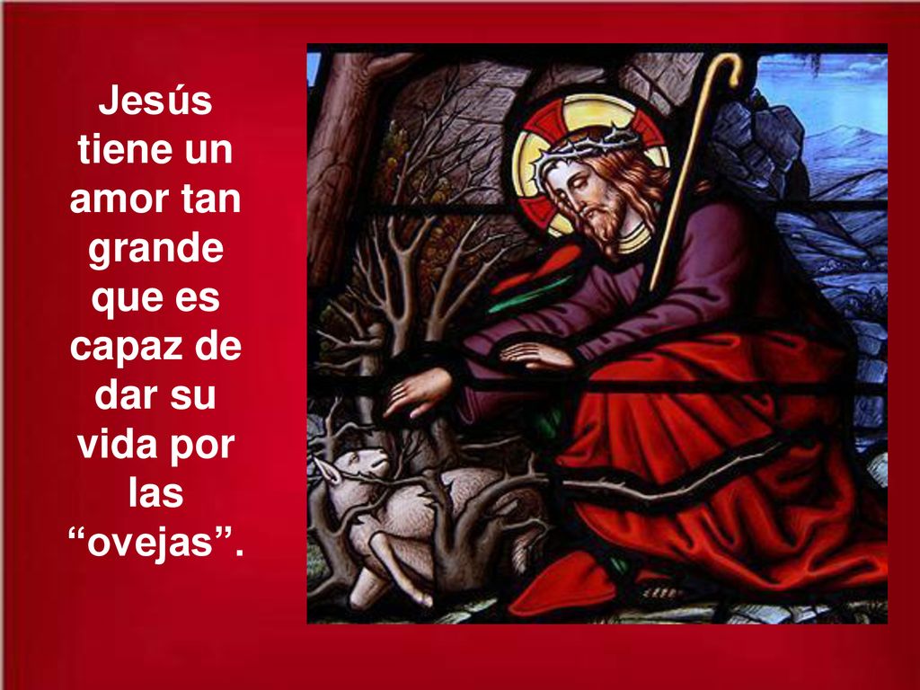 Jesús tiene un amor tan grande que es capaz de dar su vida por las ovejas .