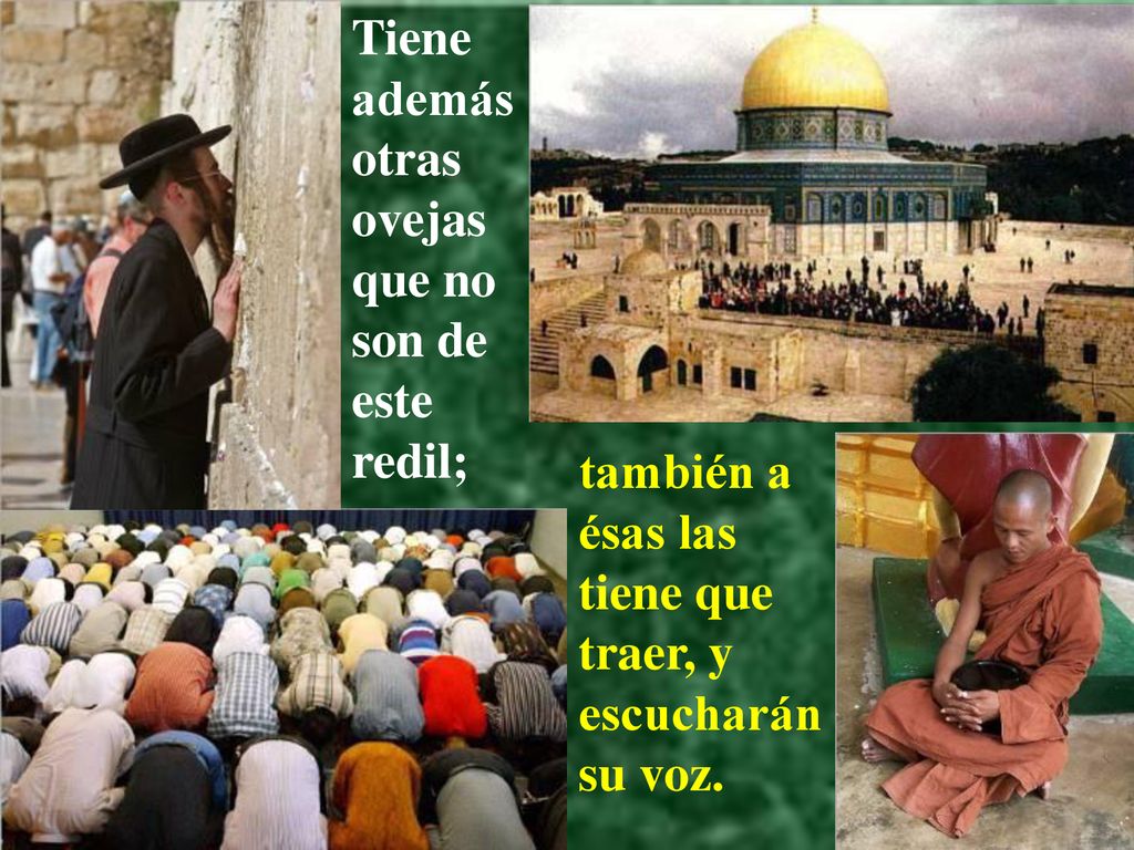 Tiene además otras ovejas que no son de este redil;