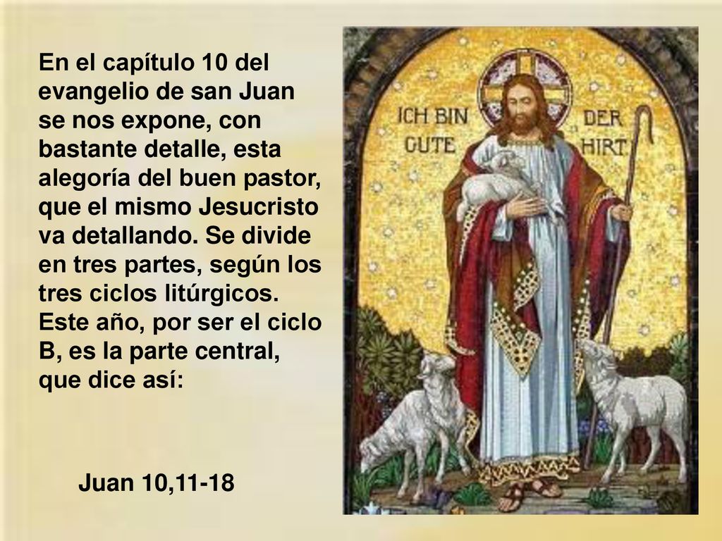 En el capítulo 10 del evangelio de san Juan se nos expone, con bastante detalle, esta alegoría del buen pastor, que el mismo Jesucristo va detallando. Se divide en tres partes, según los tres ciclos litúrgicos. Este año, por ser el ciclo B, es la parte central, que dice así:
