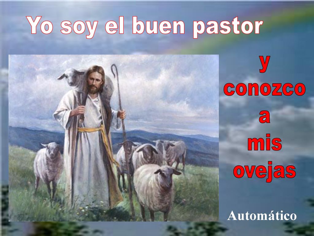 Yo soy el buen pastor y conozco a mis ovejas