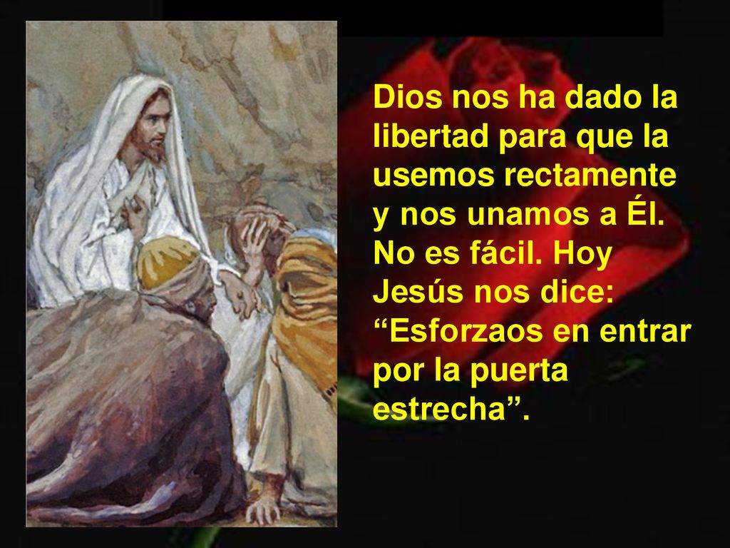 Dios nos ha dado la libertad para que la usemos rectamente y nos unamos a Él.