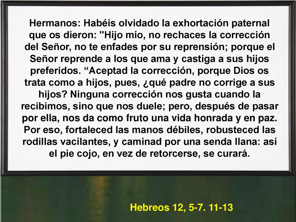 Hermanos: Habéis olvidado la exhortación paternal que os dieron: Hijo mío, no rechaces la corrección del Señor, no te enfades por su reprensión; porque el Señor reprende a los que ama y castiga a sus hijos preferidos. Aceptad la corrección, porque Dios os trata como a hijos, pues, ¿qué padre no corrige a sus hijos Ninguna corrección nos gusta cuando la recibimos, sino que nos duele; pero, después de pasar por ella, nos da como fruto una vida honrada y en paz.