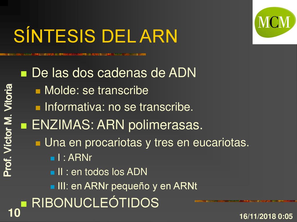 SÍNTESIS DEL ARN De las dos cadenas de ADN ENZIMAS: ARN polimerasas.