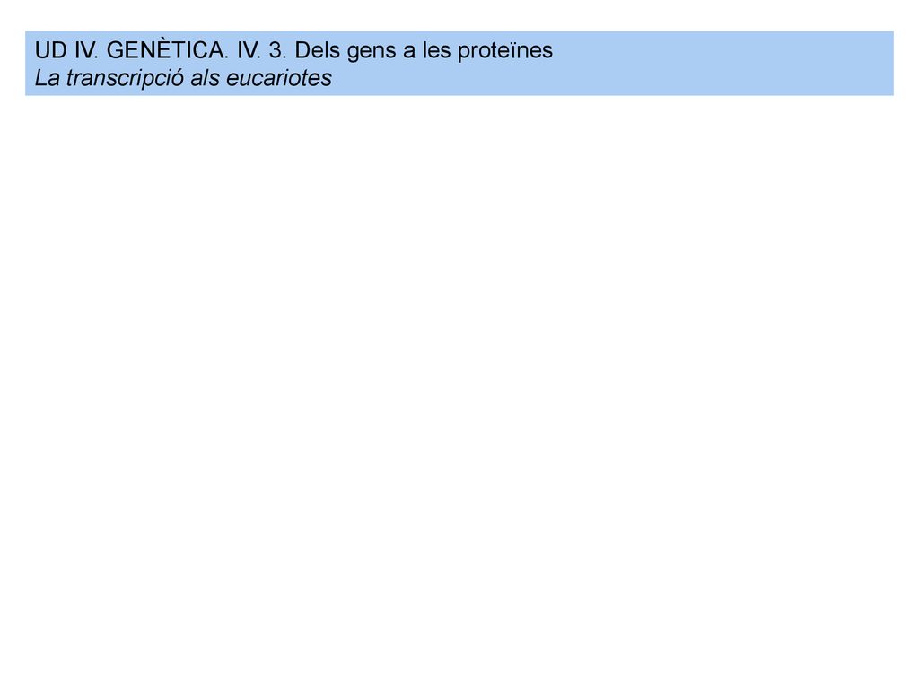 UD IV. GENÈTICA. IV. 3. Dels gens a les proteïnes