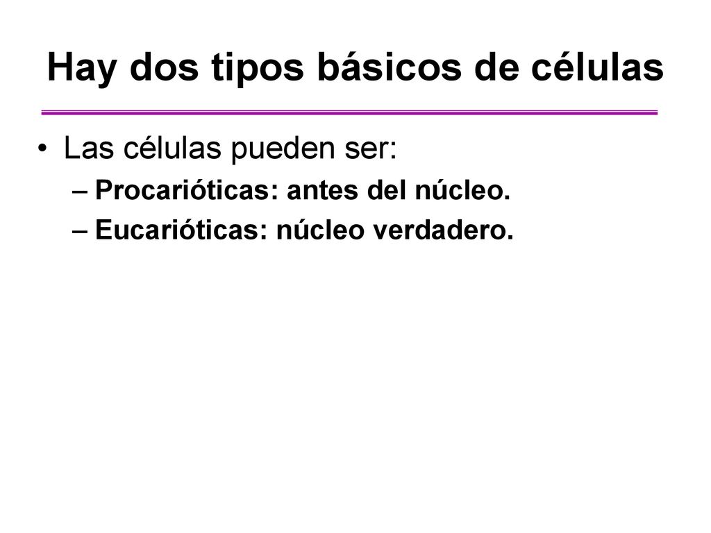 Hay dos tipos básicos de células