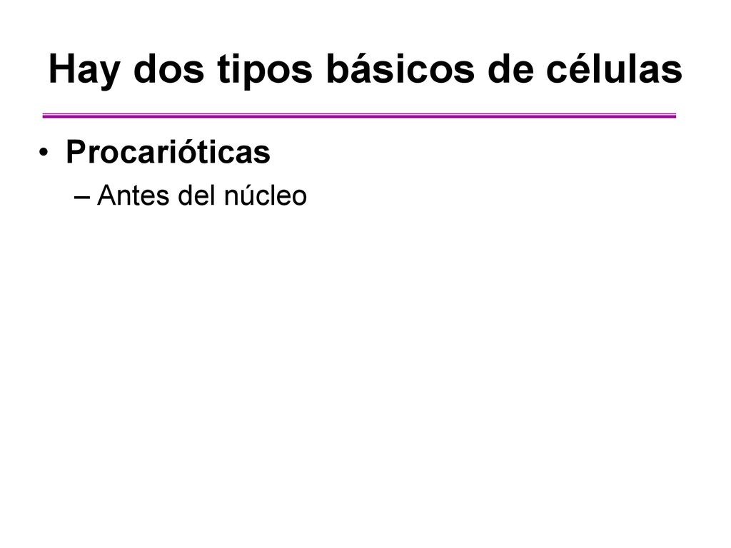 Hay dos tipos básicos de células
