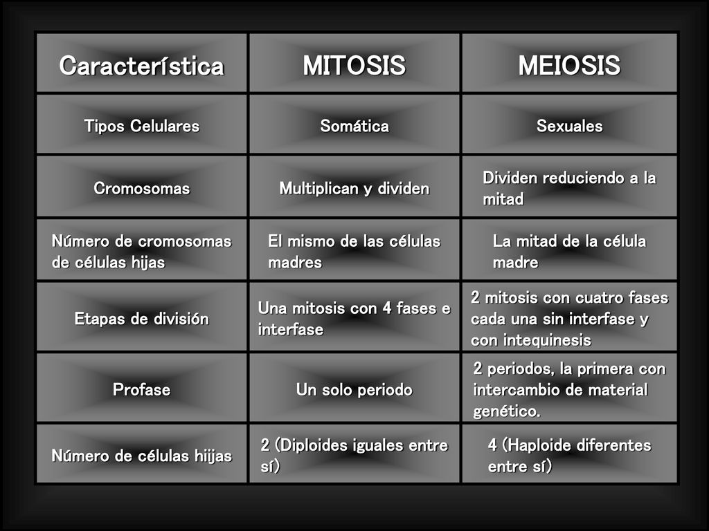 Característica MITOSIS MEIOSIS Tipos Celulares Somática Sexuales