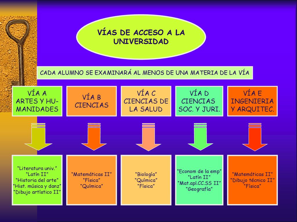 CADA ALUMNO SE EXAMINARÁ AL MENOS DE UNA MATERIA DE LA VÍA