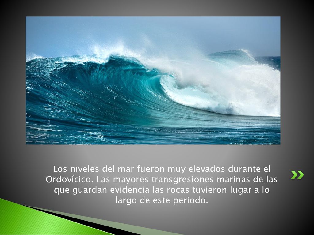Los niveles del mar fueron muy elevados durante el Ordovícico