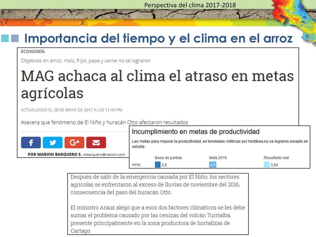 Importancia del tiempo y el clima en el arroz