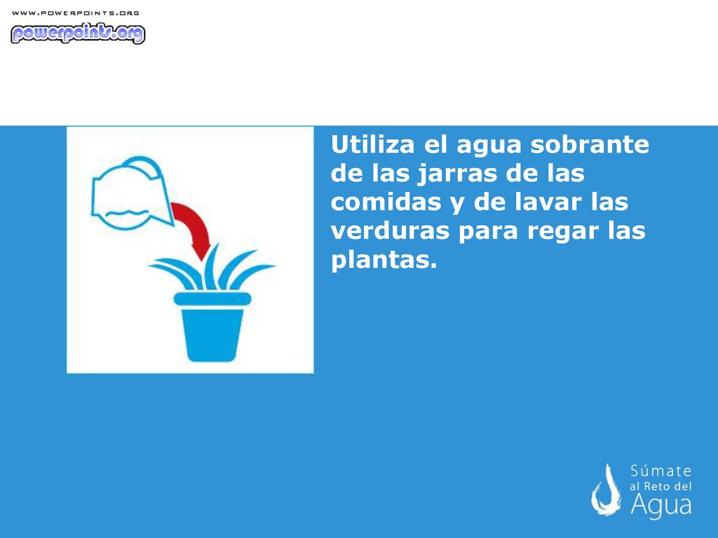 Utiliza el agua sobrante de las jarras de las comidas y de lavar las verduras para regar las plantas.