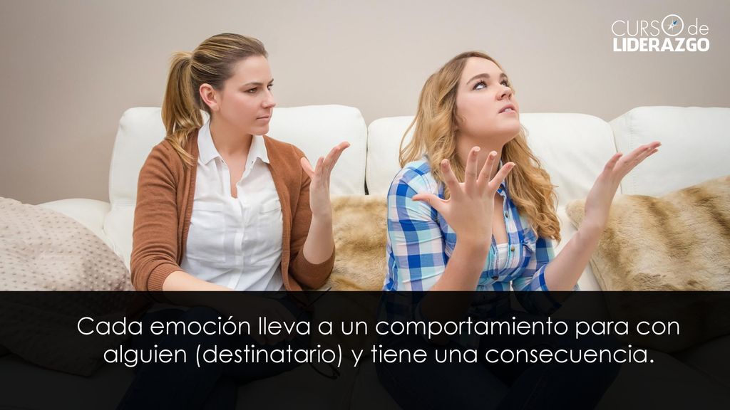 Cada emoción lleva a un comportamiento para con alguien (destinatario) y tiene una consecuencia.