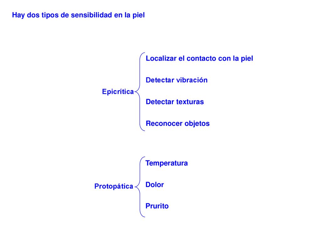Hay dos tipos de sensibilidad en la piel