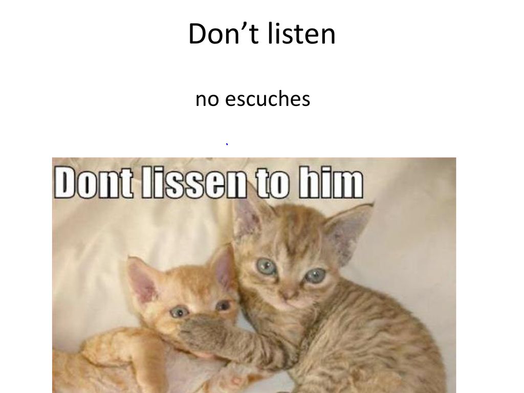 Don’t listen no escuches