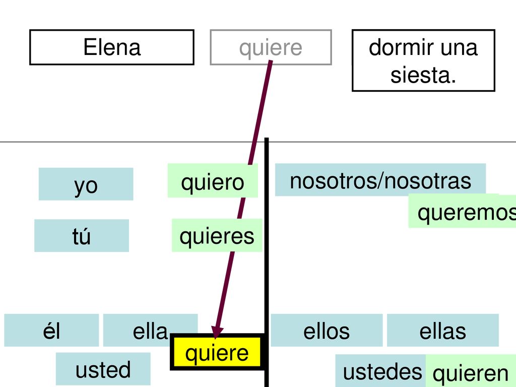 Elena quiere. de Perú. divertidos. dormir una siesta. quiero. soy. nosotros/nosotras. yo. queremos.