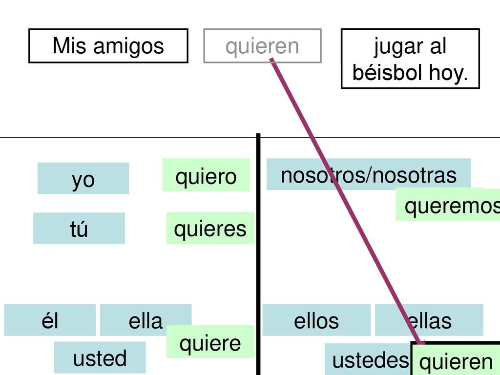 Mis amigos quieren. de Perú. divertidos. jugar al béisbol hoy. quiero. soy. nosotros/nosotras.