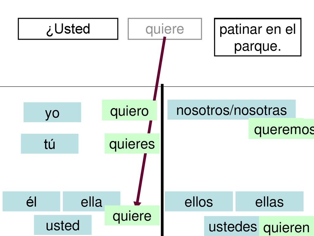 ¿Usted quiere. de México divertidos. patinar en el parque. quiero. soy. nosotros/nosotras. yo.