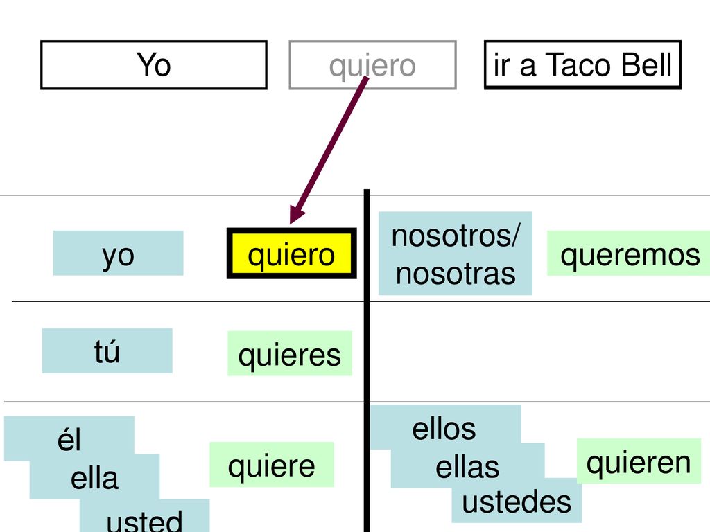 Yo quiero. ir a Taco Bell. divertidos. nosotros/nosotras. yo. quiero. queremos. tú. quieres.