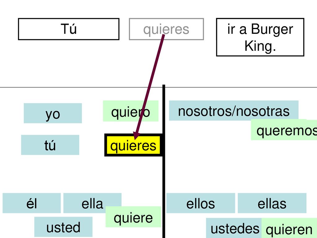 Tú quieres. de Bogatá. divertidos. ir a Burger King. quiero. soy. nosotros/nosotras. yo. queremos.
