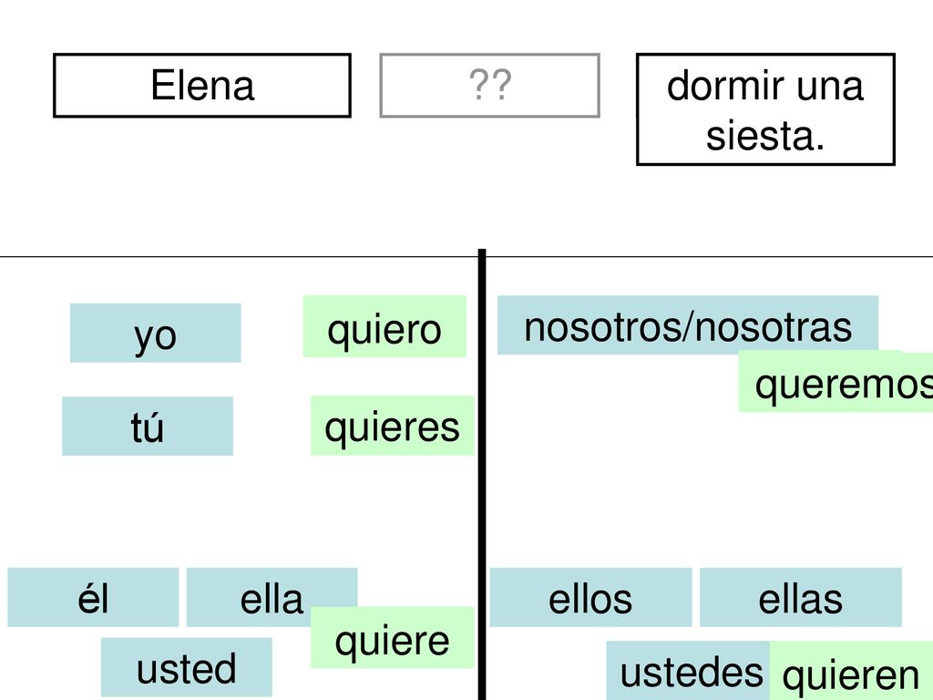 Elena divertidos. dormir una siesta. quiero. soy. nosotros/nosotras. yo. queremos. somos.
