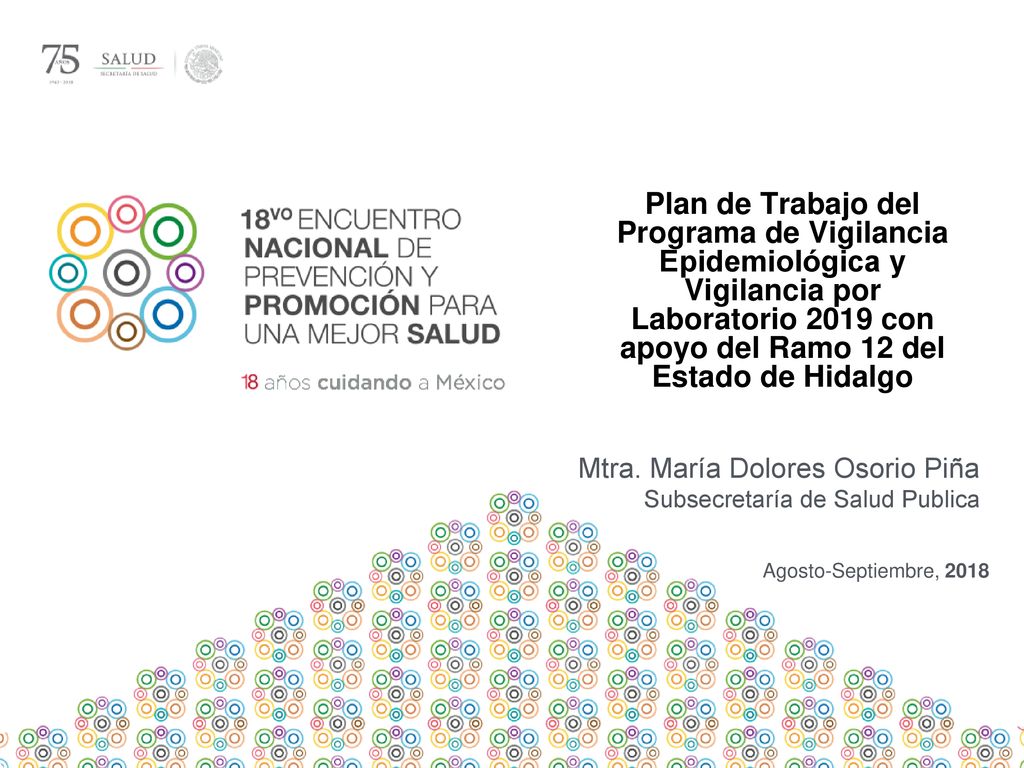 Plan de Trabajo del Programa de Vigilancia Epidemiológica y Vigilancia por Laboratorio 2019 con apoyo del Ramo 12 del Estado de Hidalgo