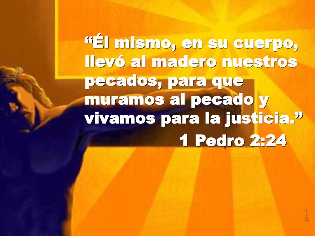 Él mismo, en su cuerpo, llevó al madero nuestros pecados, para que muramos al pecado y vivamos para la justicia.