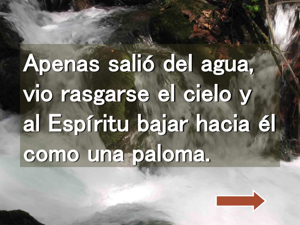 Apenas salió del agua, vio rasgarse el cielo y al Espíritu bajar hacia él como una paloma.