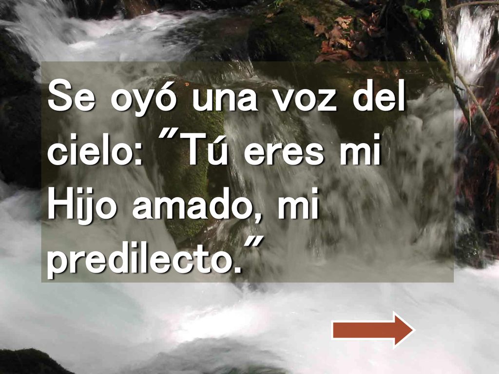 Se oyó una voz del cielo: Tú eres mi Hijo amado, mi predilecto.