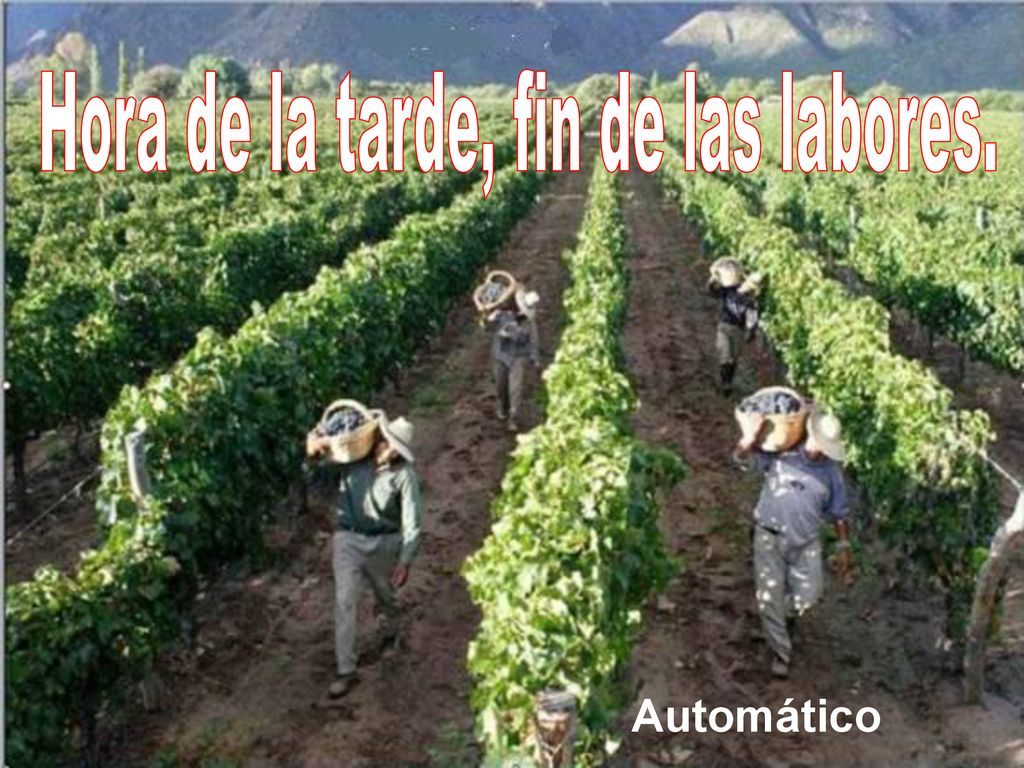 Hora de la tarde, fin de las labores.