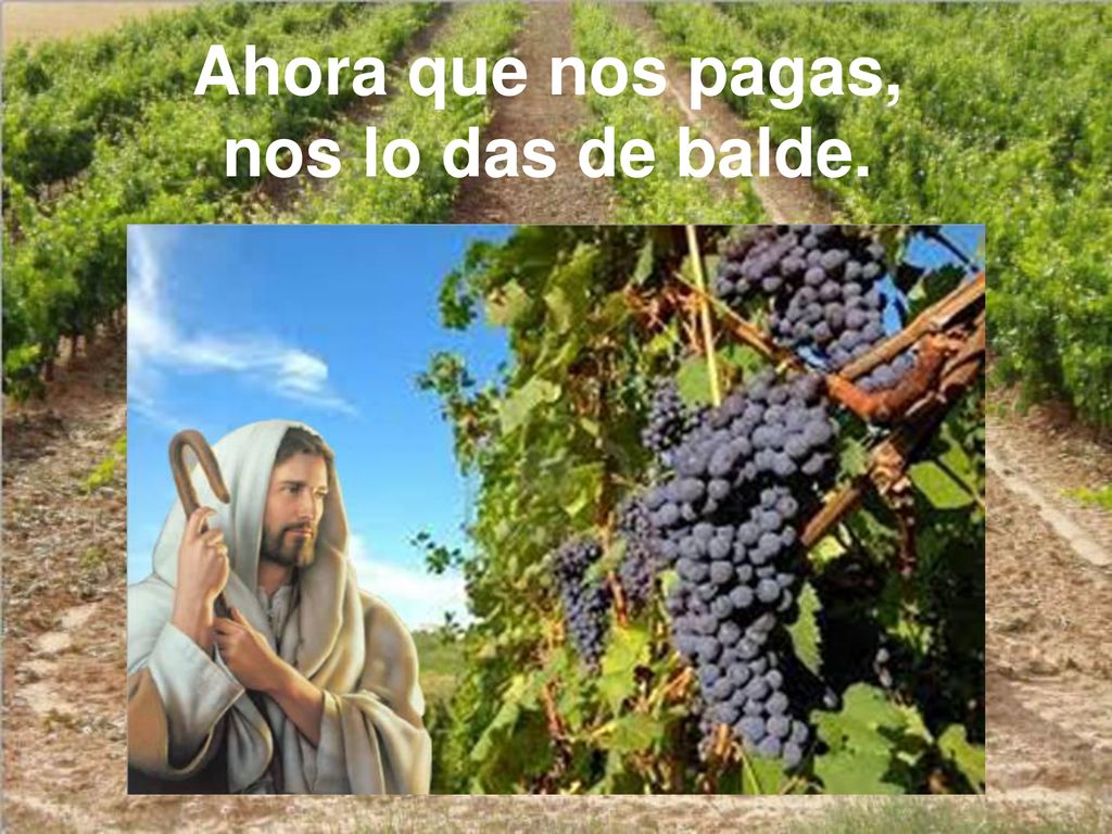 Ahora que nos pagas, nos lo das de balde.