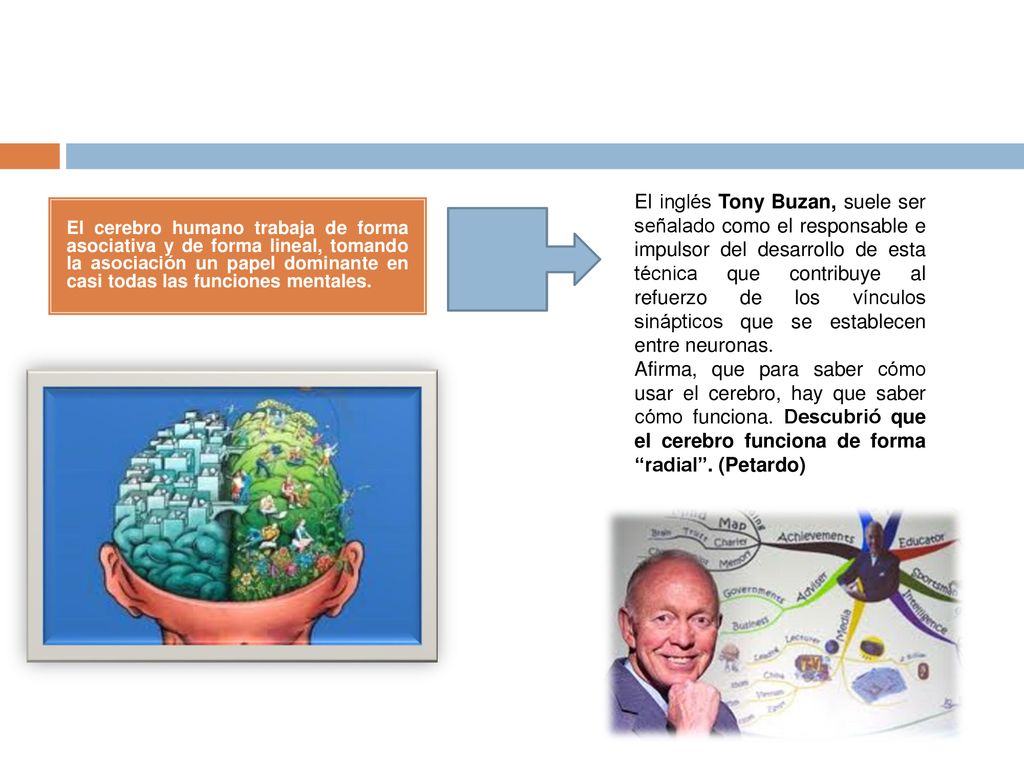 El inglés Tony Buzan, suele ser señalado como el responsable e impulsor del desarrollo de esta técnica que contribuye al refuerzo de los vínculos sinápticos que se establecen entre neuronas.