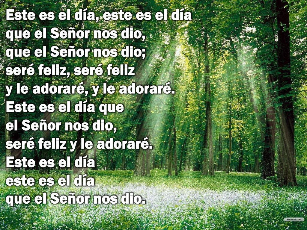 Este es el día, este es el día que el Señor nos dio, que el Señor nos dio; seré feliz, seré feliz y le adoraré, y le adoraré.