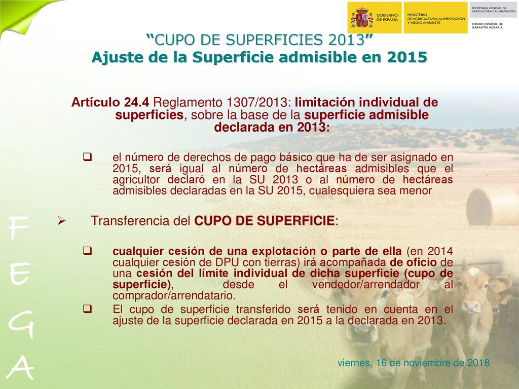 CUPO DE SUPERFICIES 2013 Ajuste de la Superficie admisible en 2015