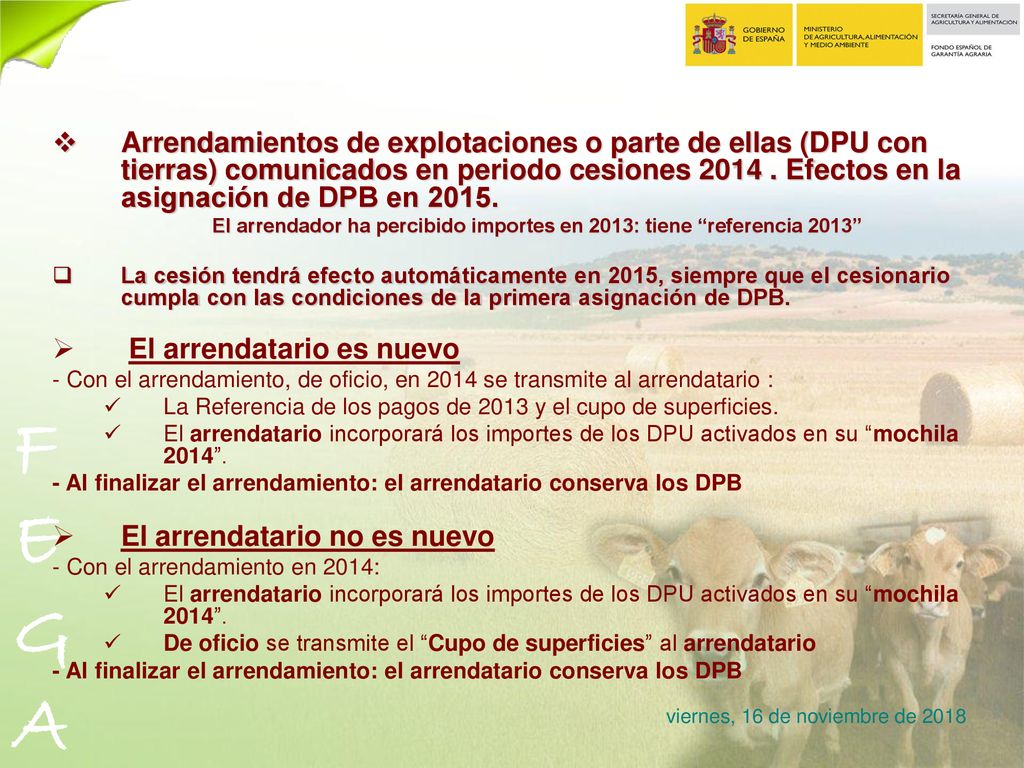 El arrendador ha percibido importes en 2013: tiene referencia 2013