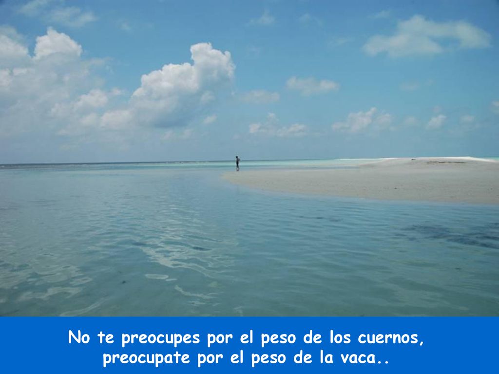 No te preocupes por el peso de los cuernos,