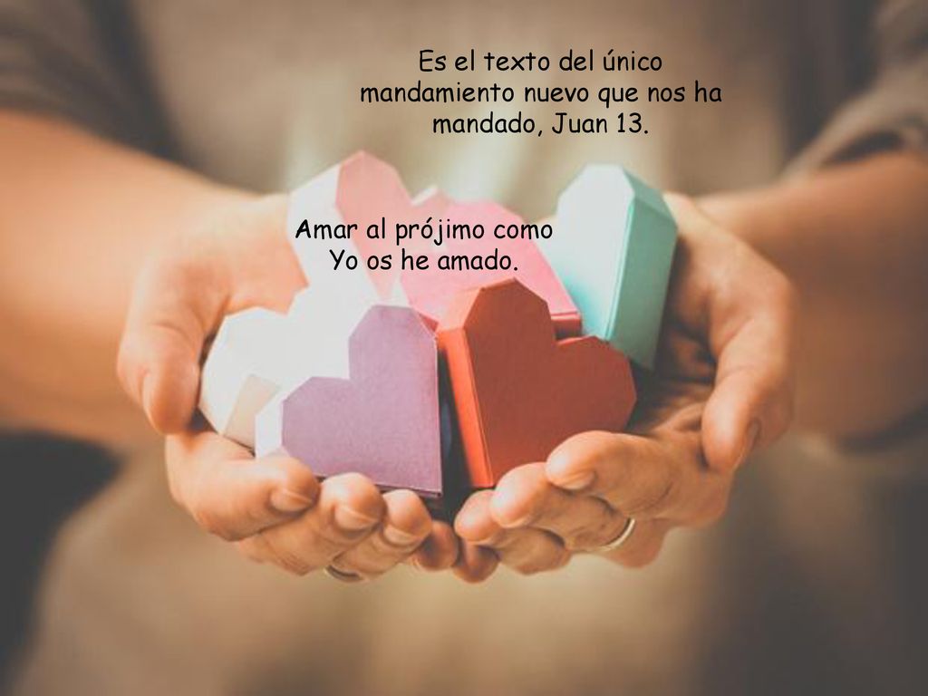 Es el texto del único mandamiento nuevo que nos ha mandado, Juan 13.