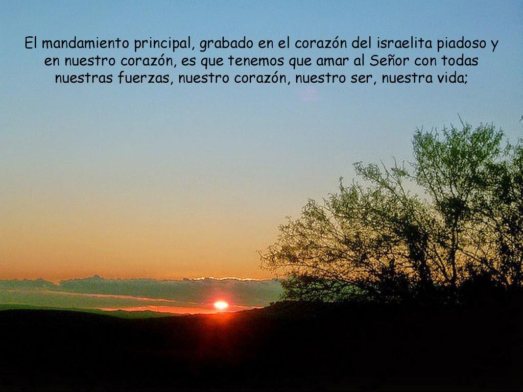 El mandamiento principal, grabado en el corazón del israelita piadoso y en nuestro corazón, es que tenemos que amar al Señor con todas nuestras fuerzas, nuestro corazón, nuestro ser, nuestra vida;