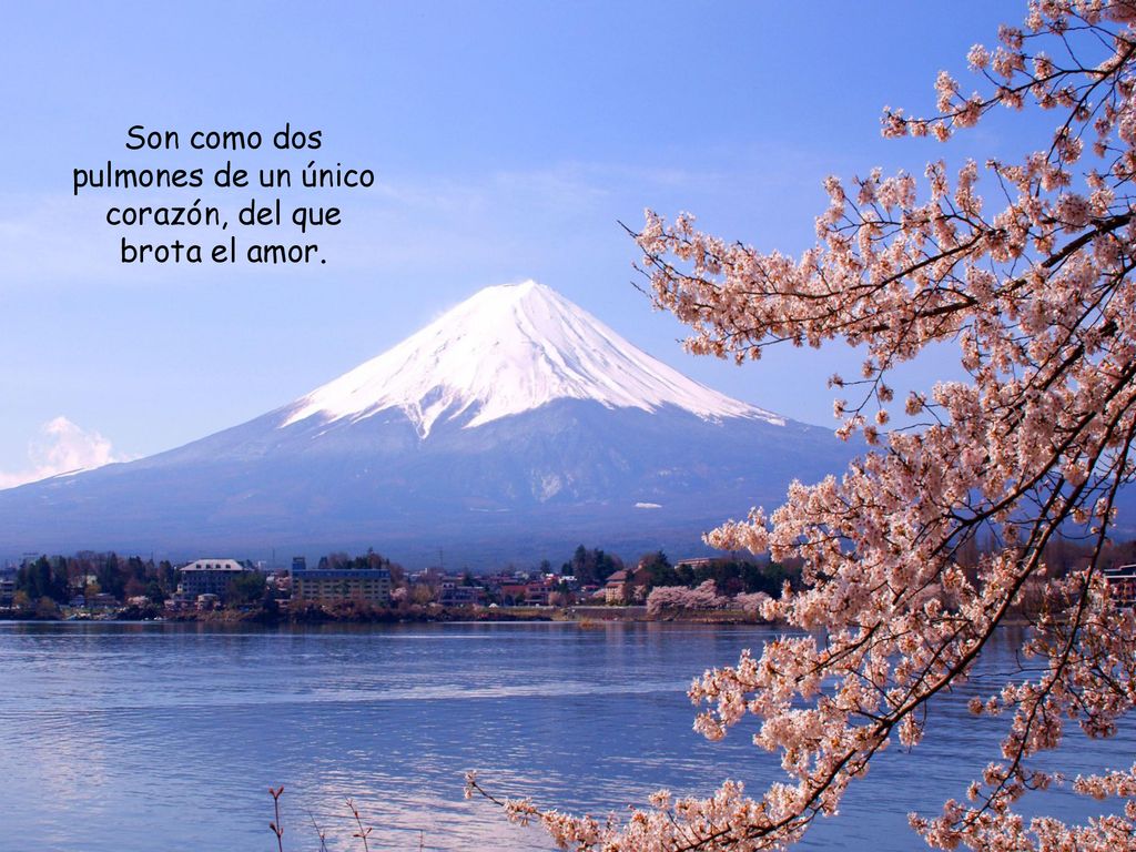 Son como dos pulmones de un único corazón, del que brota el amor.