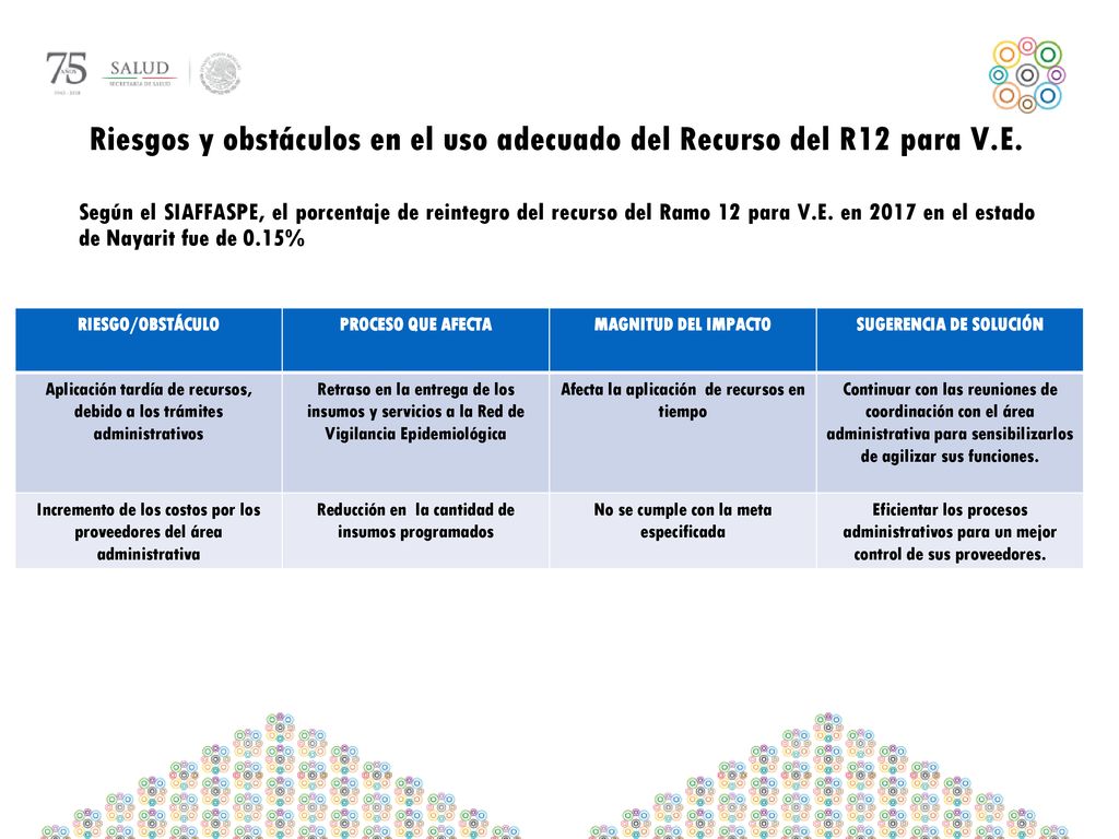 Riesgos y obstáculos en el uso adecuado del Recurso del R12 para V.E.