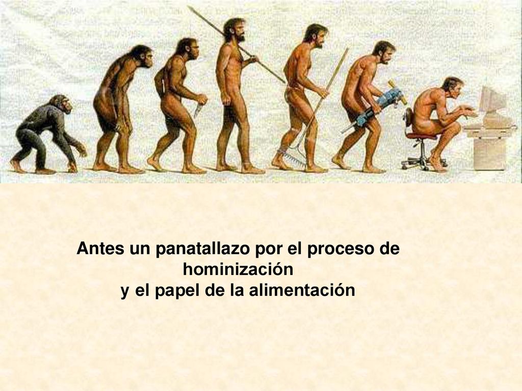 Antes un panatallazo por el proceso de hominización