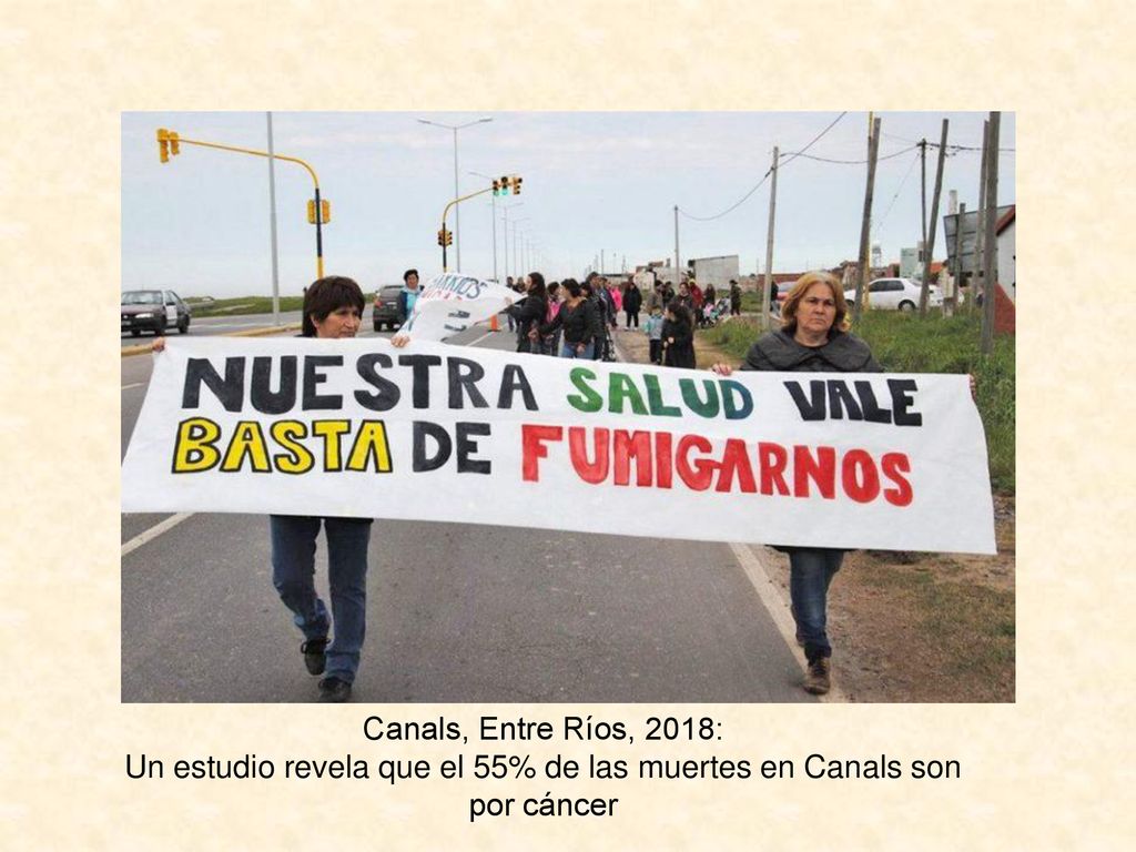 Un estudio revela que el 55% de las muertes en Canals son por cáncer