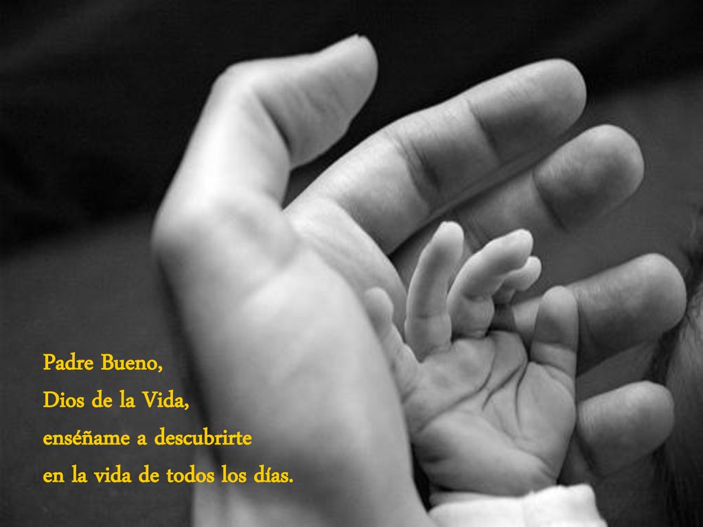 Padre Bueno, Dios de la Vida, enséñame a descubrirte en la vida de todos los días.
