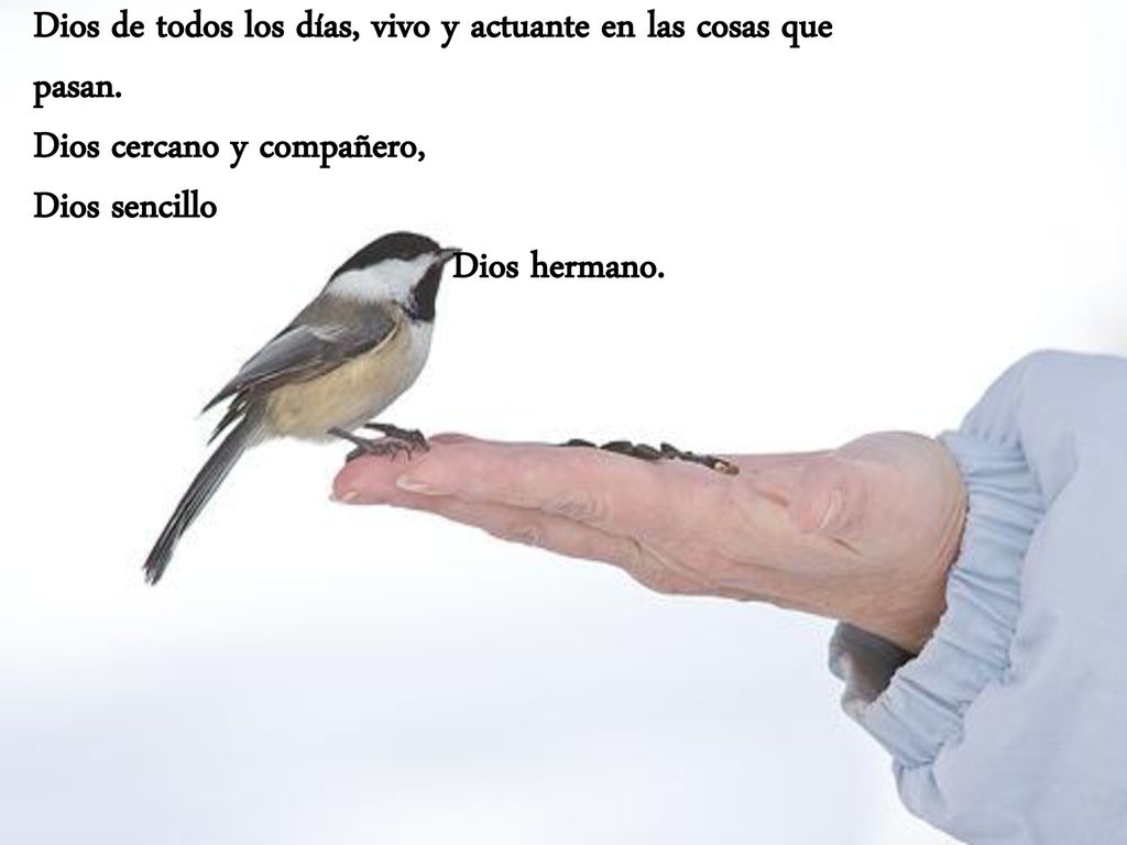 Dios de todos los días, vivo y actuante en las cosas que pasan